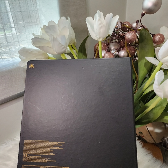 Mickey and Minnie Mouse Plush Set – Walt Disney World 50th Anniversary - Picture 4 of 9